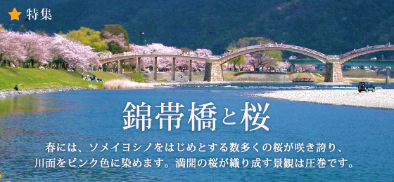 錦帯橋と桜 錦帯橋と桜